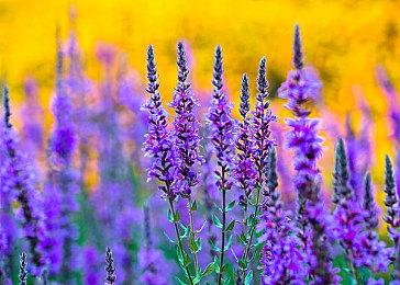 《失落之魂》新更新推出：修复Bug优化机制 提升体验